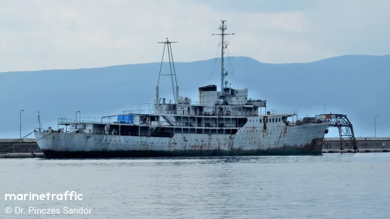 Galeb