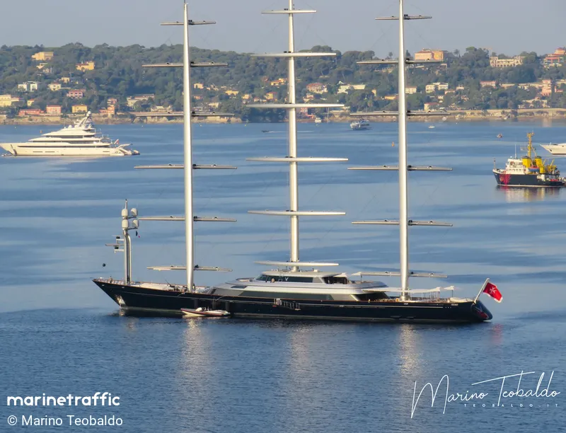 Maltese Falcon — view 2